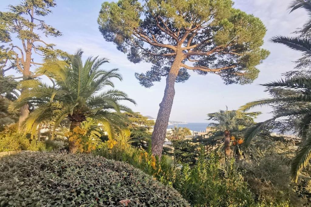 Appartement Nice Centre Vue Mer Avec Piscine Pour Famille, Couple D'Amis Pas De Groupes De Jeunes Autorises 외부 사진
